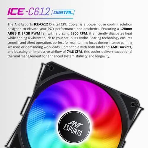 ice-c612-digital-image-01